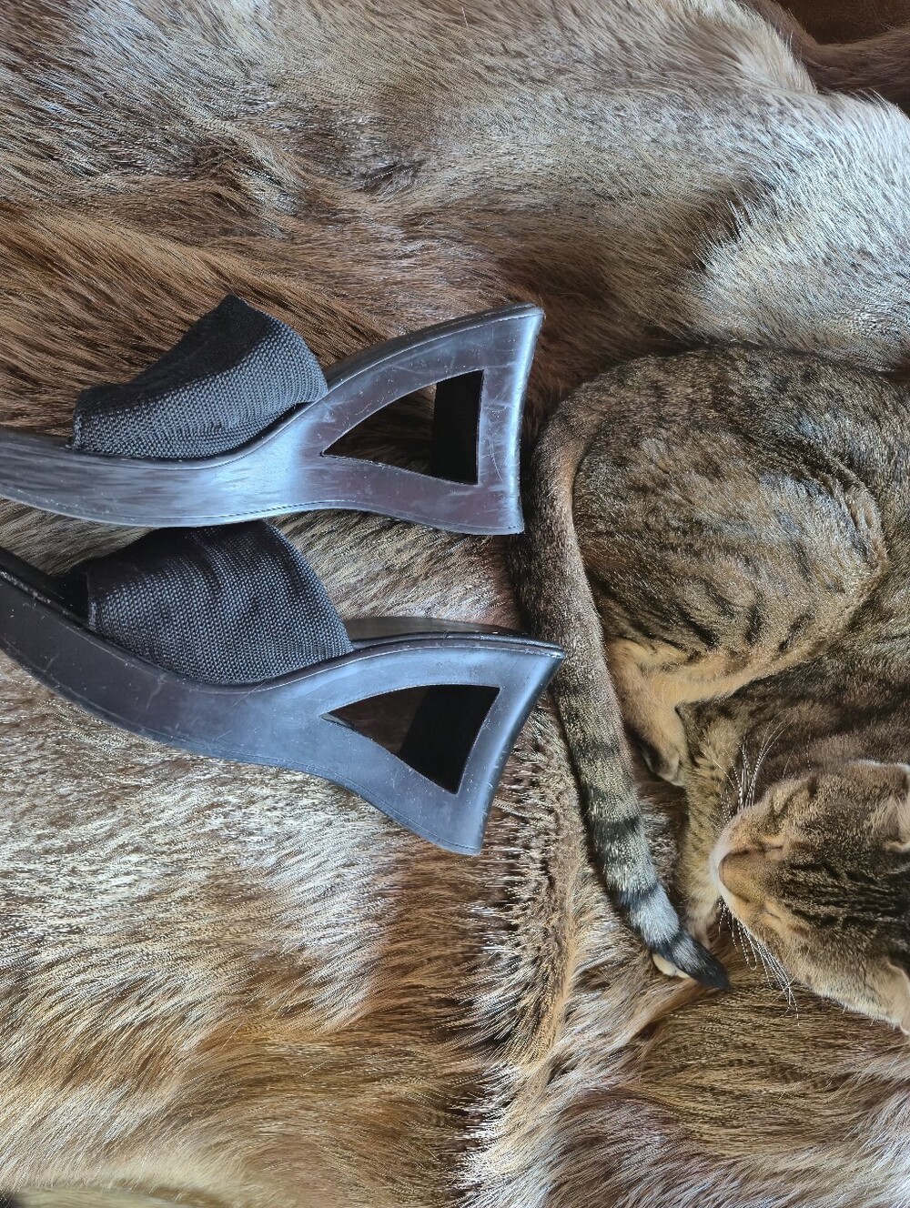 Black Women's Wedge Slide Sandals - Classic Black Size 6.5M